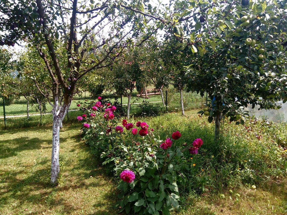 Sunny Paradise Bihać Exterior foto